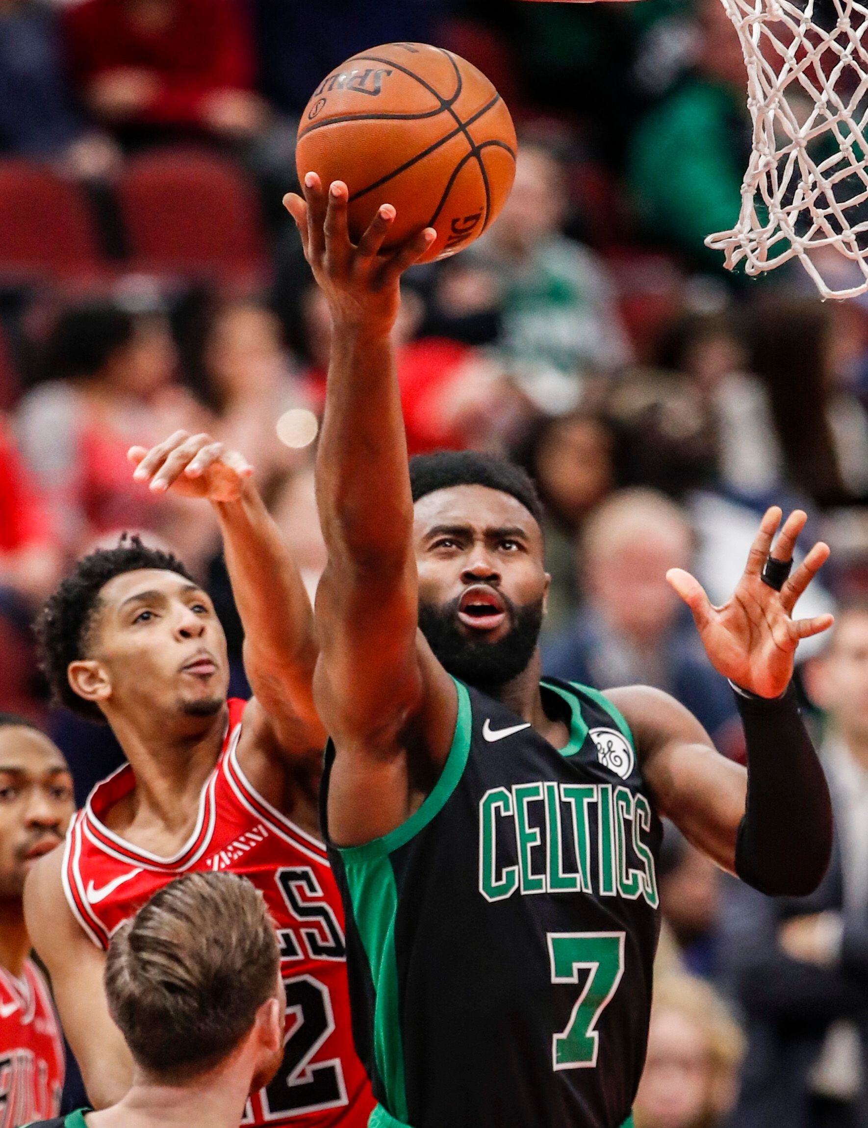 月5日至6 月5日至6